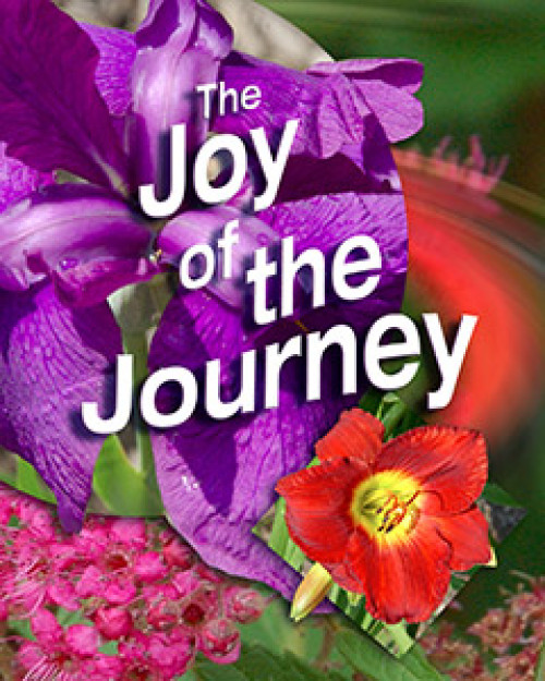 The Joy of the Journey