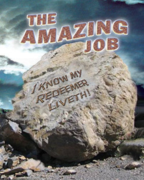 The Amazing Job