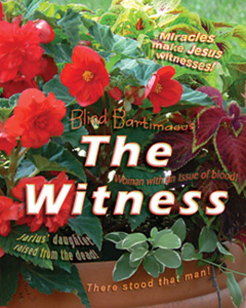 The Witness