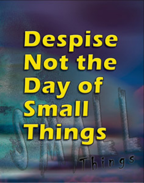 Despise Not the Day of Small Things