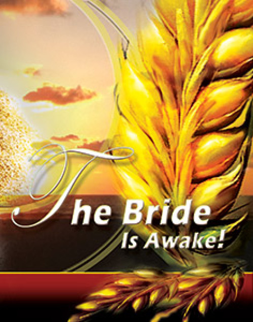 The Bride Is Awake