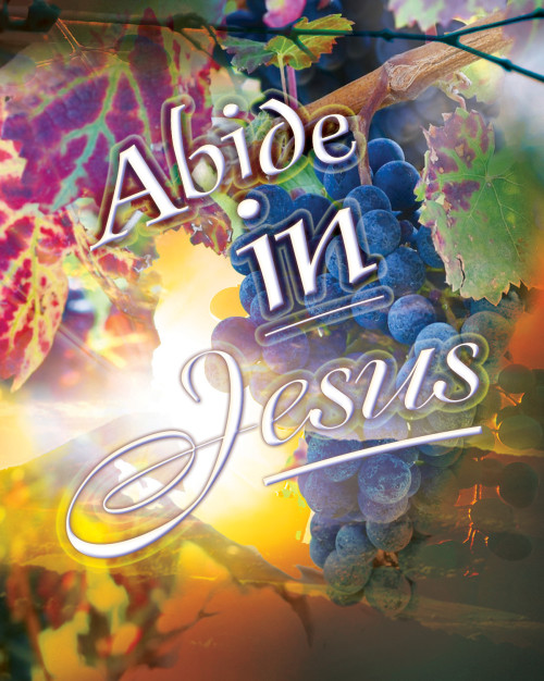 Abide in Jesus